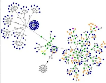 Blog kapcsolatok: gráf - SEO, keresőoptimalizálás